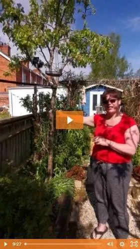 Clare’s Sunday Garden Tour garden tour