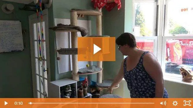 Sunday tour of Clare’s lounge sunday tour