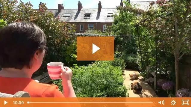 Join me for my favourite Clutter Clearing reward blog